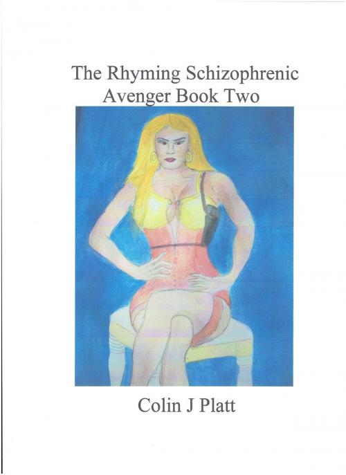 Cover of the book The Rhyming Schizophrenic Avenger Book Two by Colin J Platt, Colin J Platt