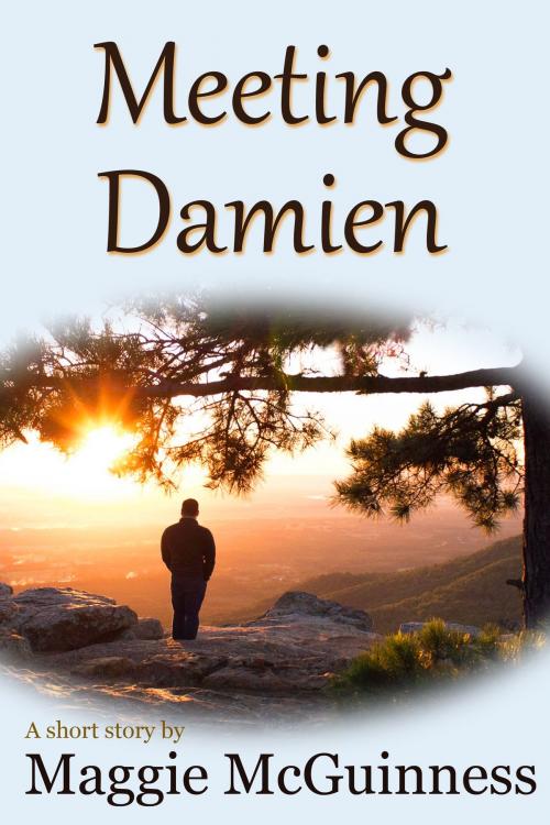 Cover of the book Meeting Damien by Maggie McGuinness, Word Wise
