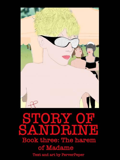 Cover of the book Story of Sandrine Book 3 by PerverPeper, PerverPeper