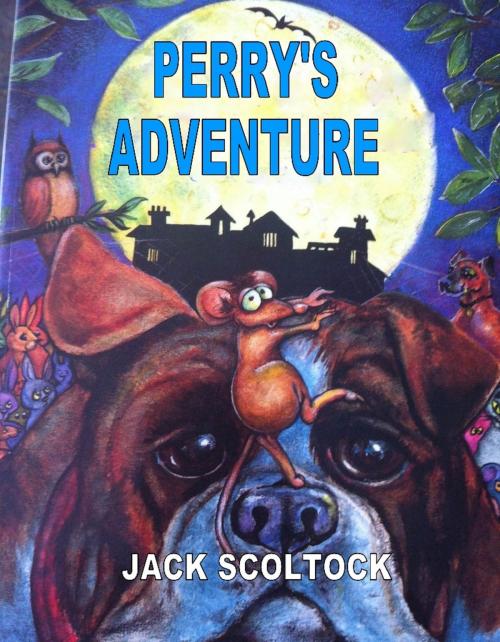 Cover of the book Perry's Adventure by Jack Scoltock, Jack Scoltock