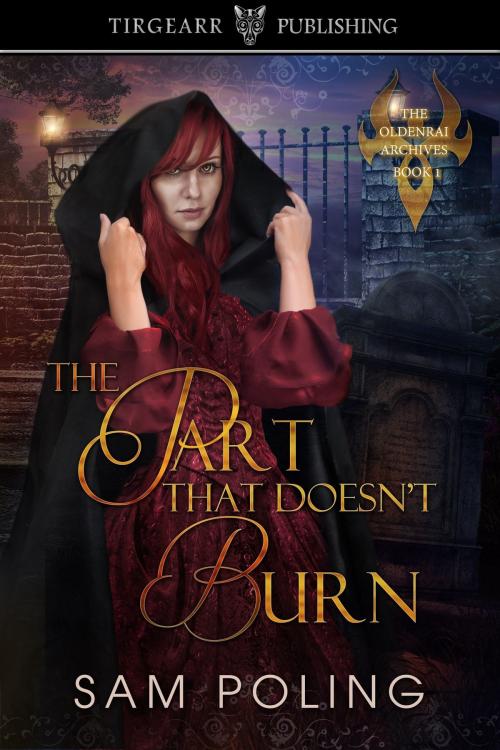 Cover of the book The Part That Doesn't Burn by Sam Poling, Tirgearr Publishing