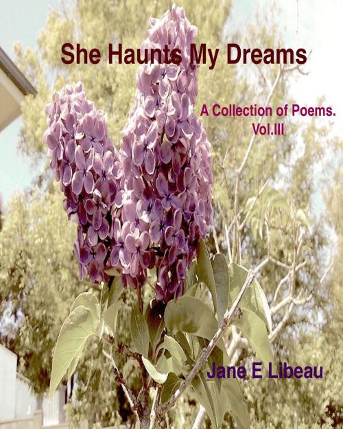 Cover of the book She Haunts My Dreams. A Collection of Poems. Vol III by Jane E Libeau, Jane E Libeau