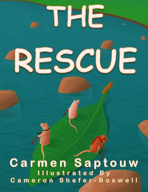 Cover of the book The Rescue by Carmen Saptouw, Carmen Saptouw
