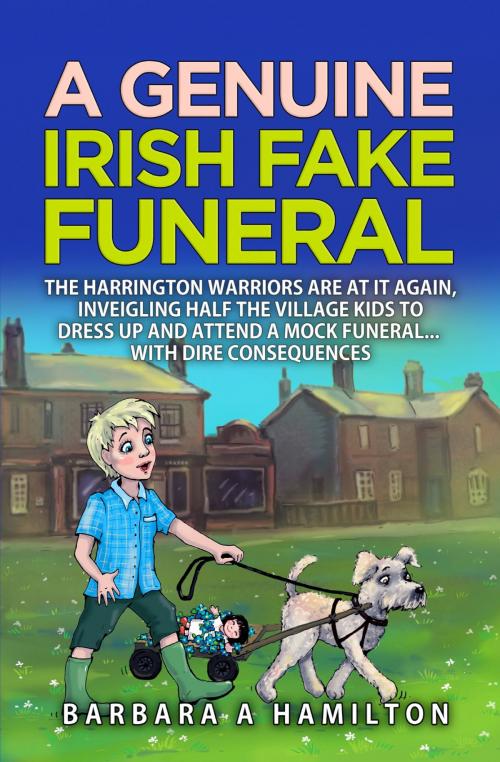 Cover of the book A Genuine Irish Fake Funeral by Barbara A Hamilton, Barbara A Hamilton