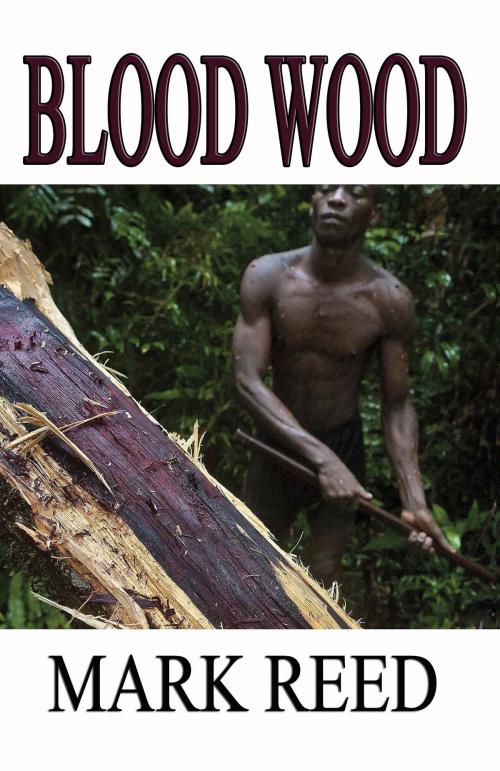 Cover of the book Blood Wood by Mark Reed, CUSTOM BOOK PUBLICATIONS