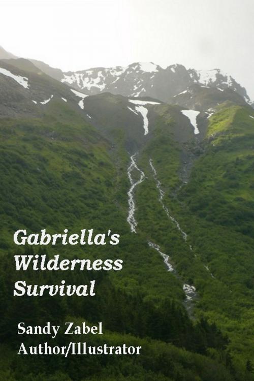 Cover of the book Gabriella’s Wilderness Survival by Sandy Zabel, Two His Glory Publishing