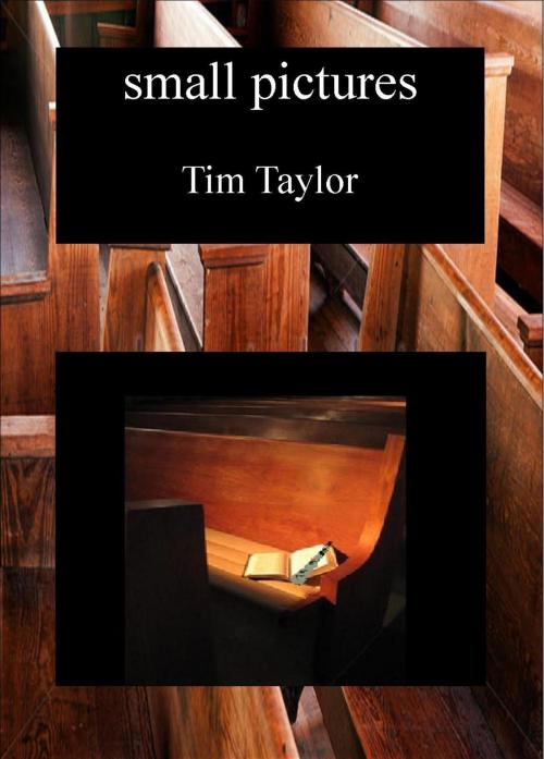 Cover of the book Small Pictures by Tim C Taylor, Tim C Taylor
