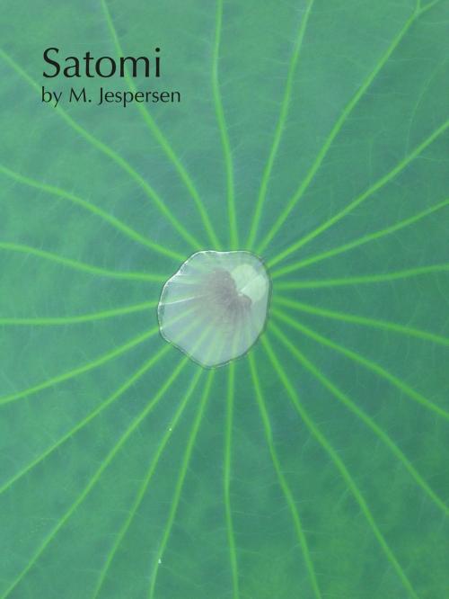 Cover of the book Satomi by Mitchell Jespersen, Mitchell Jespersen