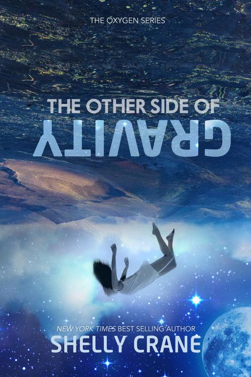 Cover of the book The Other Side Of Gravity by Shelly Crane, Shelly Crane