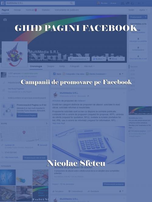 Cover of the book Ghid pagini Facebook: Campanii de promovare pe Facebook by Nicolae Sfetcu, Nicolae Sfetcu