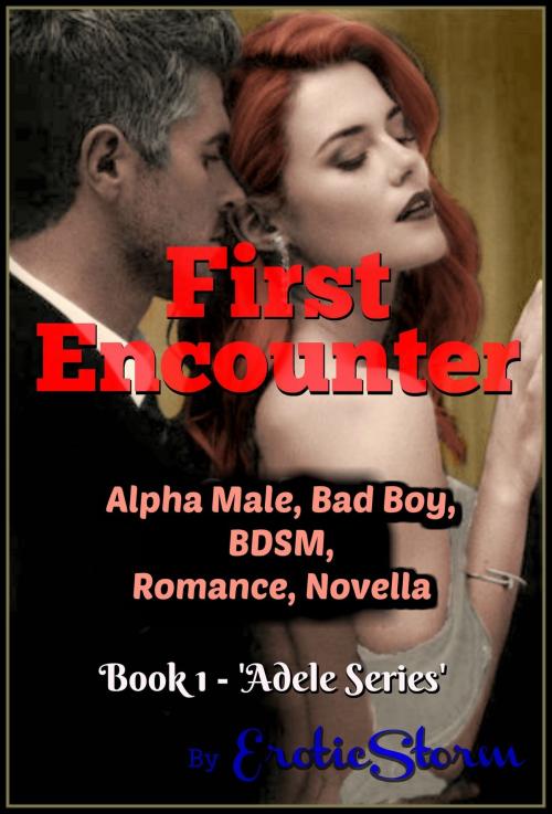 Cover of the book First Encounter by EroticStorm, EroticStorm