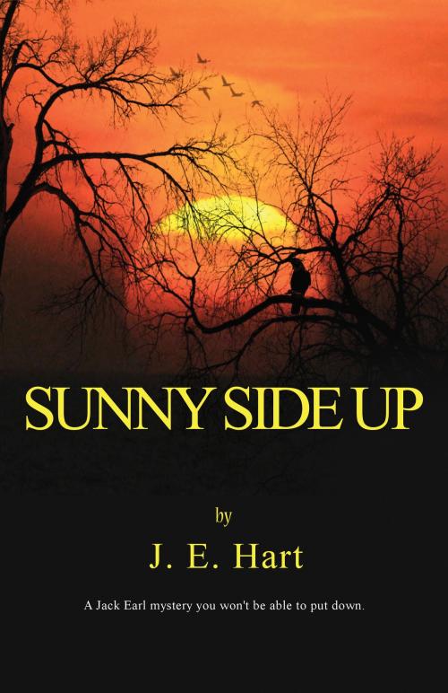 Cover of the book Sunny Side Up by James E Hart, James E Hart