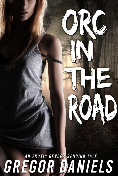 Cover of the book Orc in the Road by Gregor Daniels, Gregor Daniels