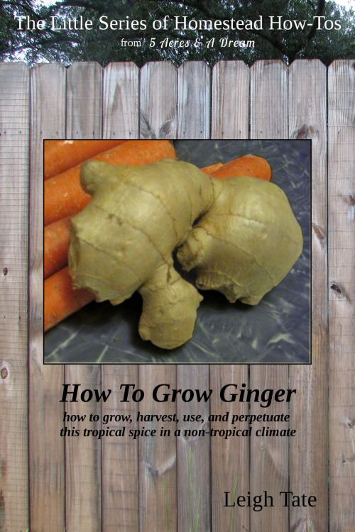 Cover of the book How To Grow Ginger: How To Grow, Harvest, Use, and Perpetuate This Tropical Spice in a Non-tropical Climate by Leigh Tate, Leigh Tate