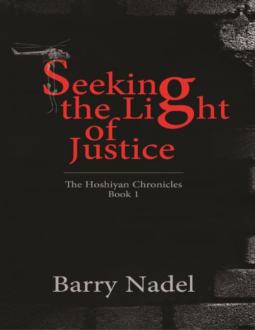 Cover of the book Seeking the Light of Justice by Barry Nadel, Lulu.com