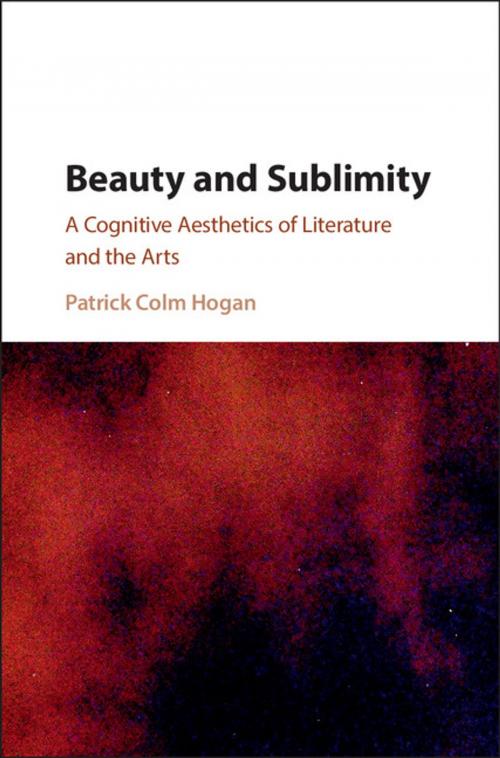 Cover of the book Beauty and Sublimity by Patrick Colm Hogan, Cambridge University Press