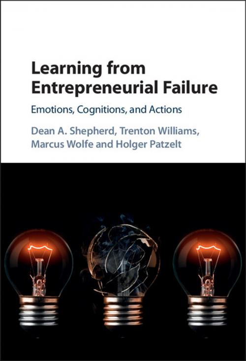 Cover of the book Learning from Entrepreneurial Failure by Dean A. Shepherd, Trenton Williams, Marcus Wolfe, Holger Patzelt, Cambridge University Press