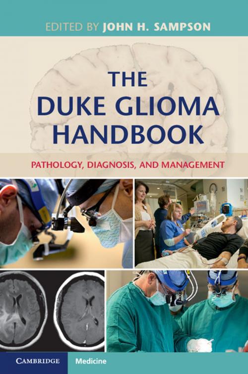 Cover of the book The Duke Glioma Handbook by Darell D. Bigner, Allan H. Friedman, Henry S. Friedman, Roger McLendon, Cambridge University Press