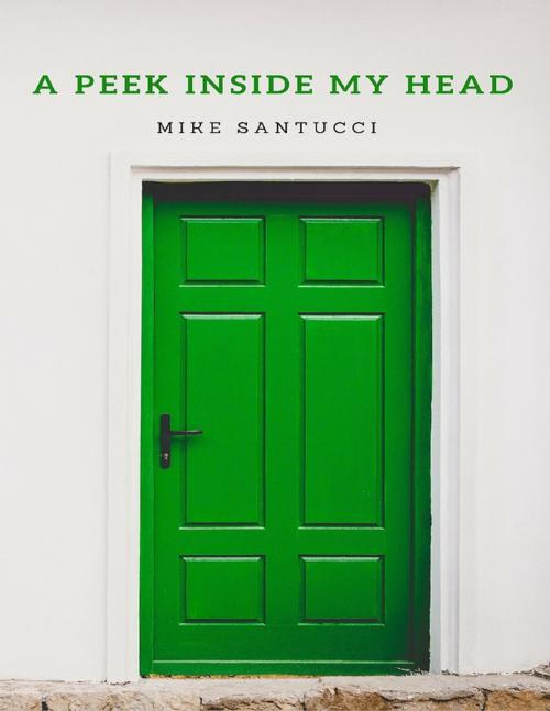 Cover of the book A Peek Inside My Head by Mike Santucci, Lulu.com