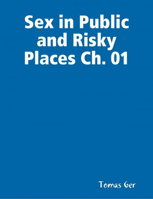 Cover of the book Sex in Public and Risky Places Ch. 01 by Tomas Ger, Lulu.com