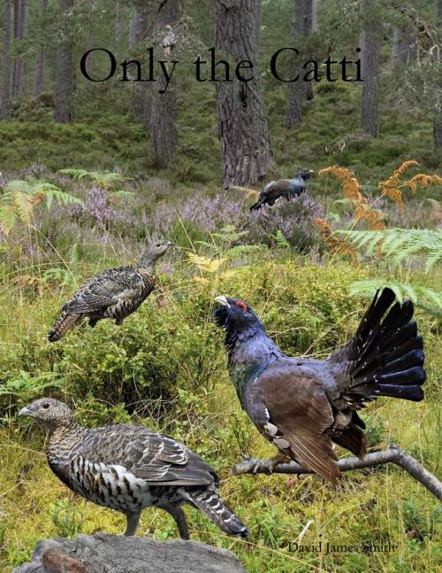 Cover of the book Only the Catti by David James Smith, Lulu.com