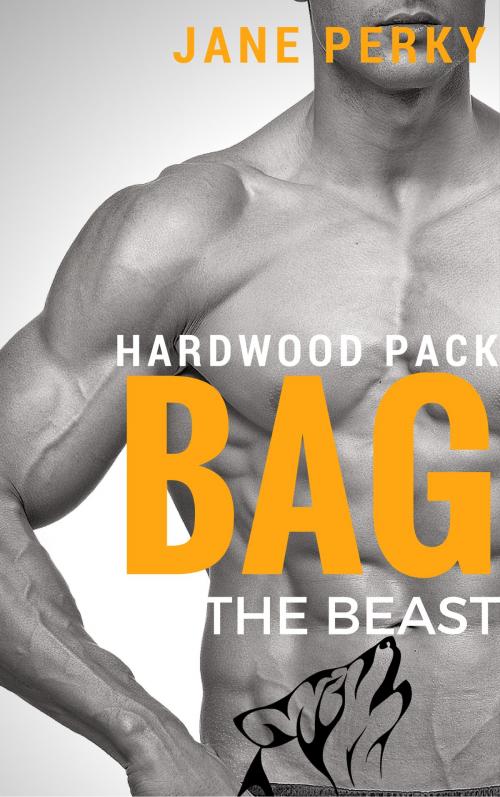Cover of the book Bag the Beast by Jane Perky, FA Publishing