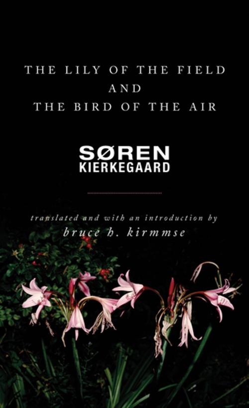 Cover of the book The Lily of the Field and the Bird of the Air by Søren Kierkegaard, Princeton University Press