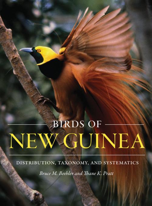 Cover of the book Birds of New Guinea by Bruce M. Beehler, Thane K. Pratt, Princeton University Press