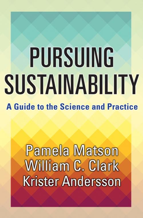 Cover of the book Pursuing Sustainability by Pamela Matson, Krister Andersson, William C. Clark, Princeton University Press