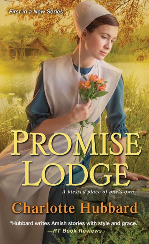 Cover of the book Promise Lodge by Charlotte Hubbard, Zebra Books