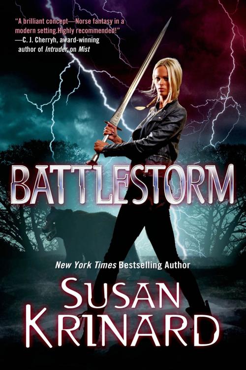Cover of the book Battlestorm by Susan Krinard, Tom Doherty Associates