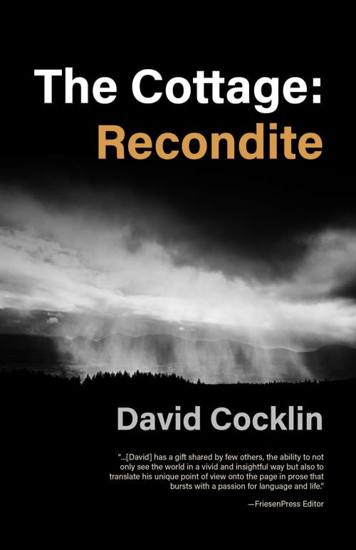 Cover of the book The Cottage: Recondite by David Cocklin, FriesenPress