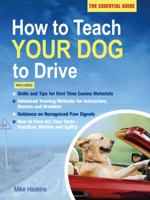 Cover of the book How to Teach Your Dog to Drive by Mike Haskins, St. Martin's Press