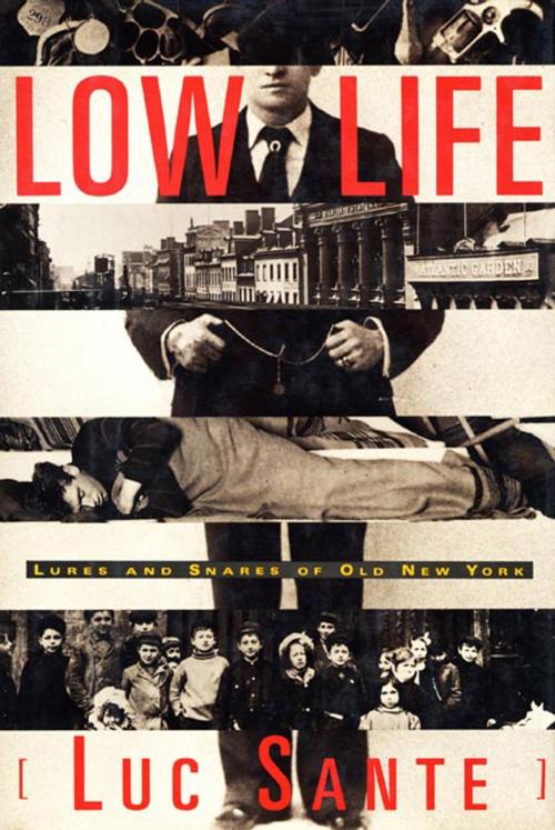 Cover of the book Low Life by Luc Sante, Farrar, Straus and Giroux