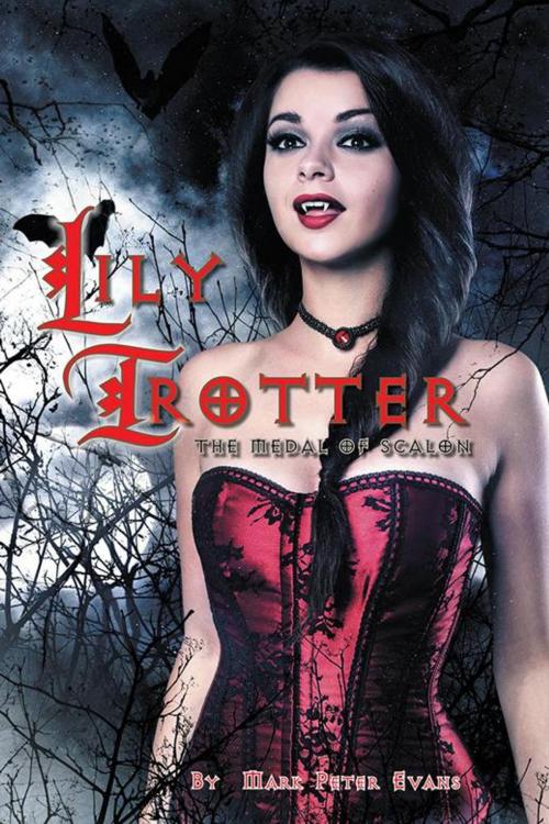 Cover of the book Lily Trotter by Mark Peter Evans, Trafford Publishing