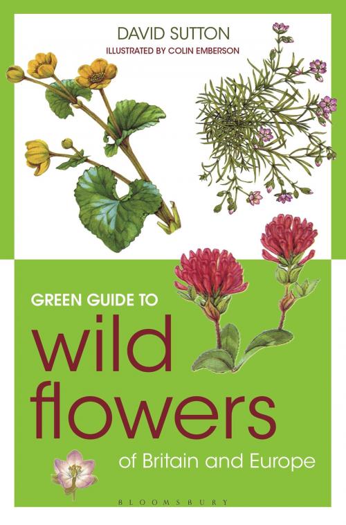 Cover of the book Green Guide to Wild Flowers Of Britain And Europe by David Sutton, Bloomsbury Publishing