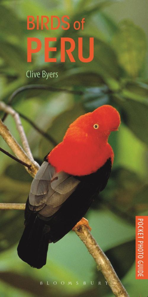 Cover of the book Birds of Peru by Clive Byers, Bloomsbury Publishing
