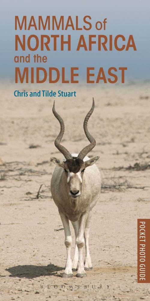 Cover of the book Mammals of North Africa and the Middle East by Chris Stuart, Tilde Stuart, Bloomsbury Publishing