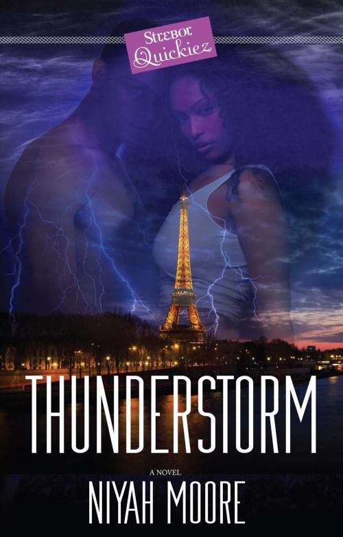 Cover of the book Thunderstorm by Niyah Moore, Strebor Books
