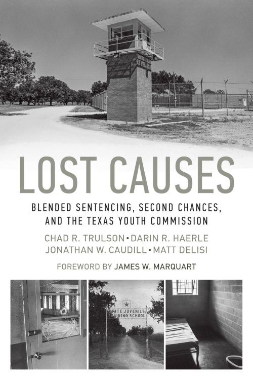 Cover of the book Lost Causes by Chad R. Trulson, Darin R. Haerle, Jonathan W. Caudill, Matt DeLisi, University of Texas Press