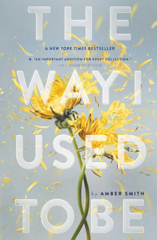Cover of the book The Way I Used to Be by Amber Smith, Margaret K. McElderry Books