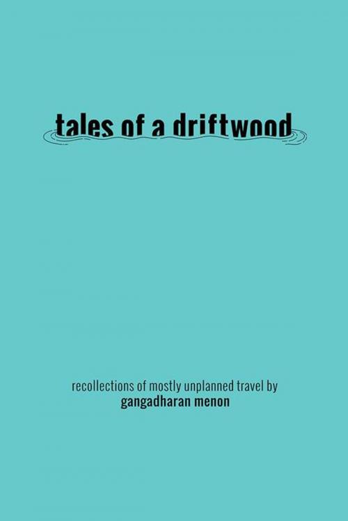 Cover of the book Tales of a Driftwood by Gangadharan Menon, Partridge Publishing India
