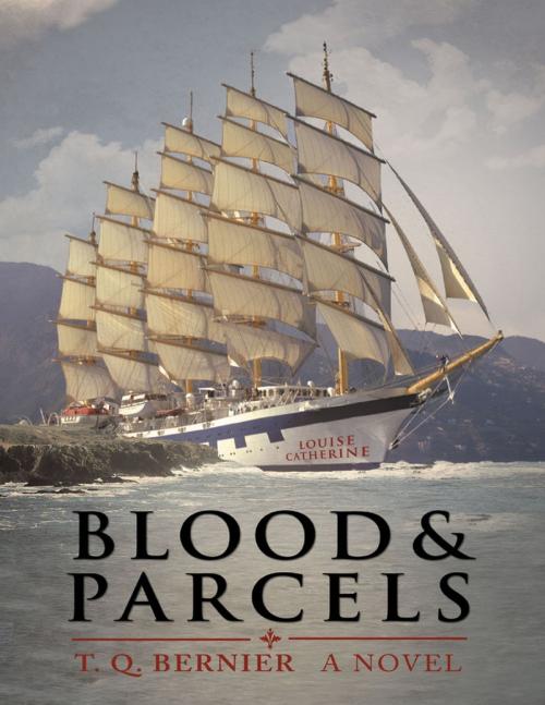 Cover of the book Blood and Parcels by T. Q. Bernier, Lulu Publishing Services