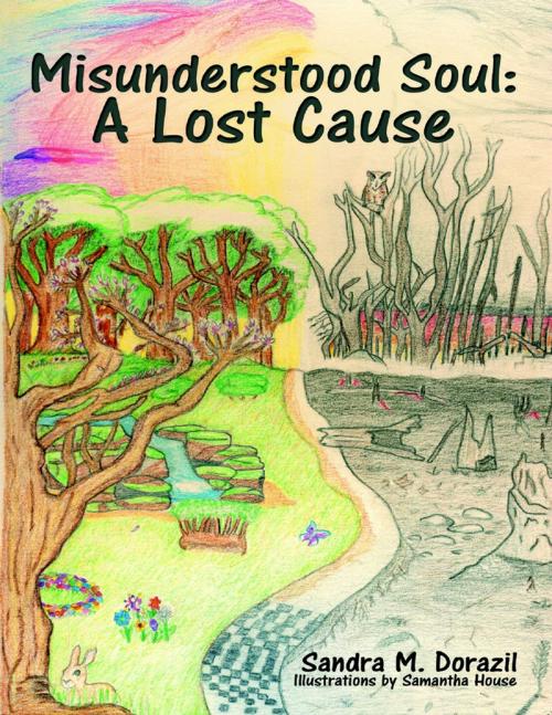 Cover of the book Misunderstood Soul: A Lost Cause by Sandra M. Dorazil, Samantha House, Lulu Publishing Services
