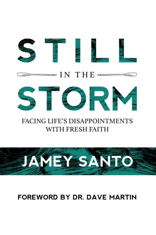 Cover of the book Still in the Storm by Jamey Santo, BookBaby