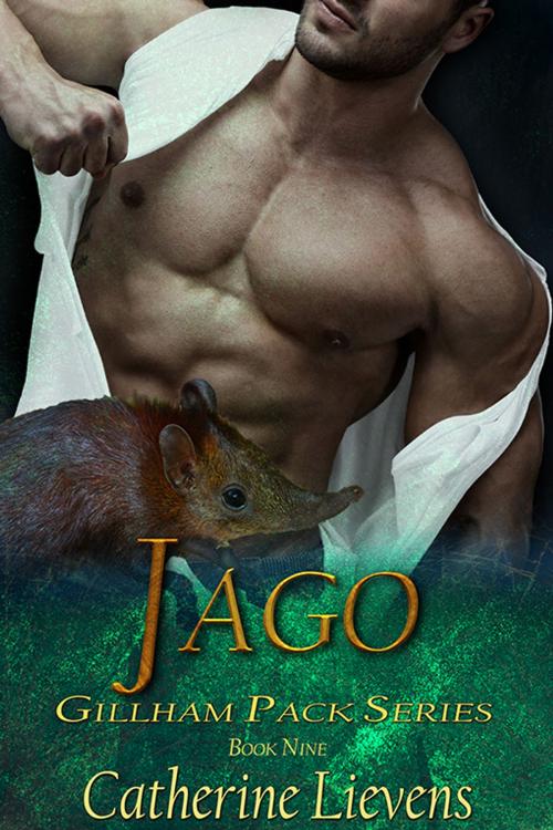 Cover of the book Jago by Catherine Lievens, eXtasy Books Inc