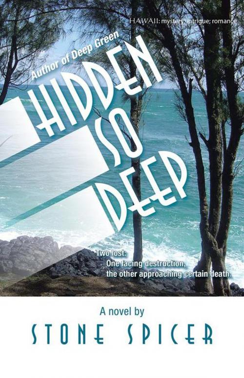 Cover of the book Hidden so Deep by Stone Spicer, Trafford Publishing