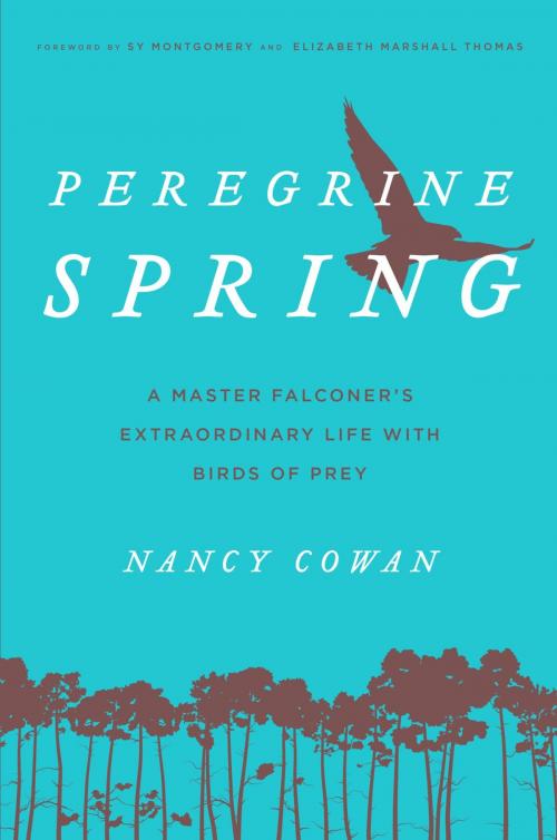 Cover of the book Peregrine Spring by Nancy Cowan, Lyons Press