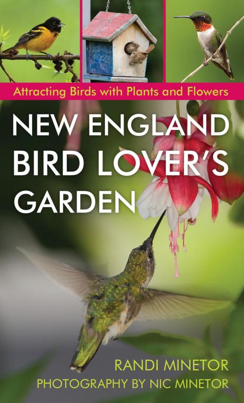 Cover of the book New England Bird Lover's Garden by Randi Minetor, Globe Pequot Press