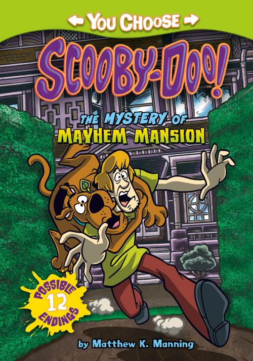 Cover of the book The Mystery of the Mayhem Mansion by Matthew K. Manning, Capstone